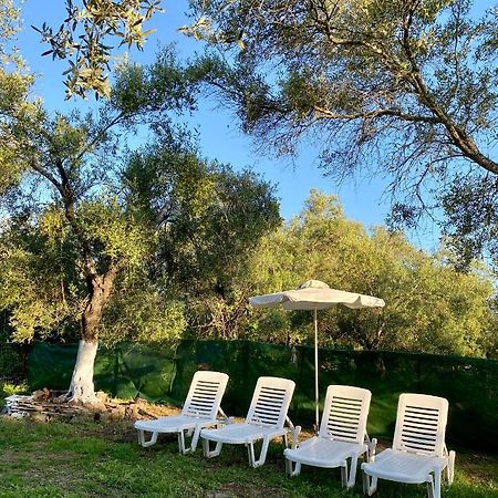 Endless Green: Feel Free And Cozy In Nature Perivolion Exterior photo