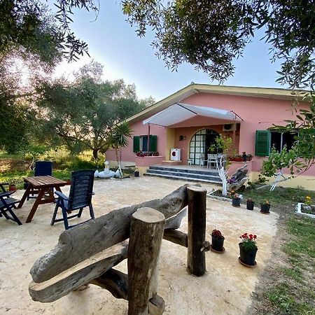Endless Green: Feel Free And Cozy In Nature Perivolion Exterior photo